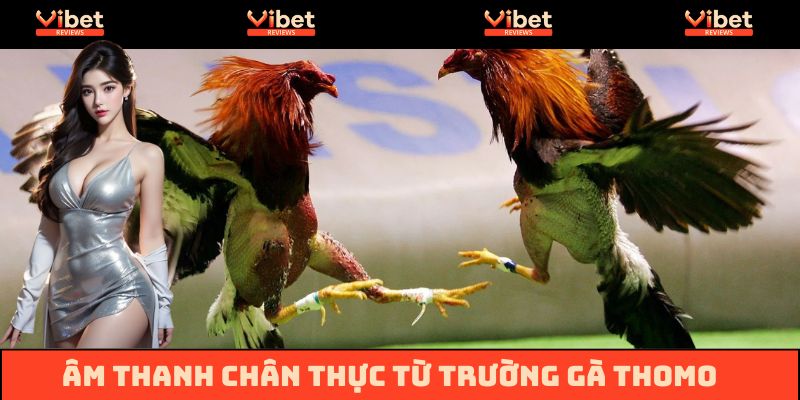 Âm thanh siêu đỉnh từ trường gà Thomo